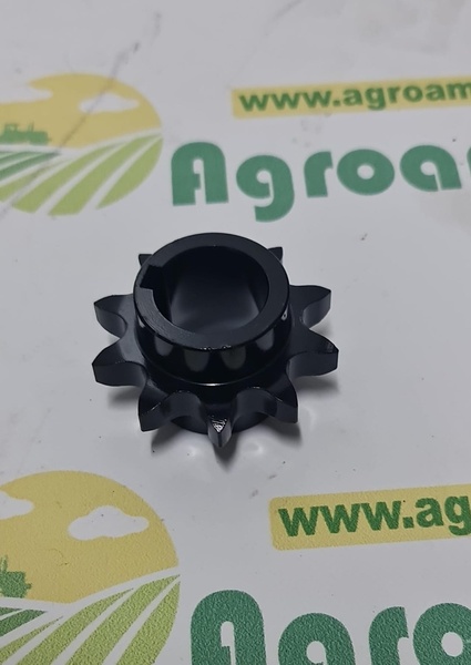 Pinion Z-10 096.007.002