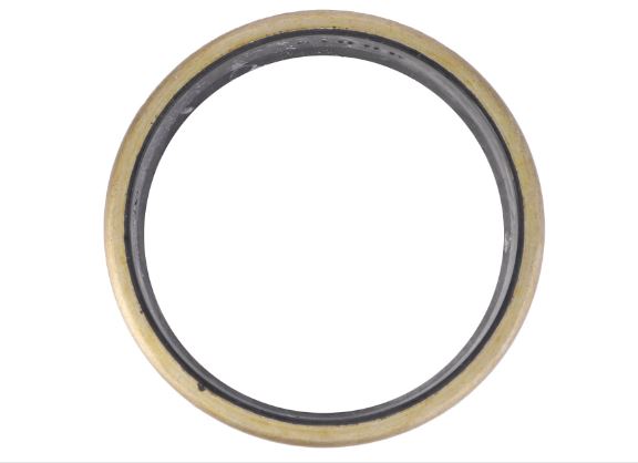 Simering X540415301000