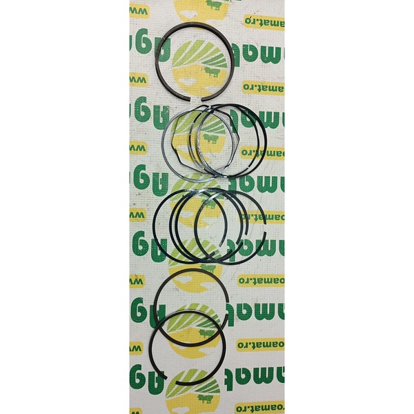 Set Segmenti Motor 745661M91