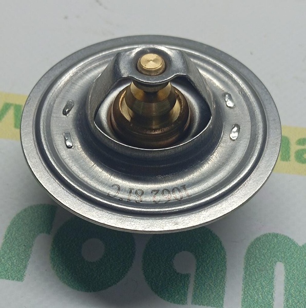 Termostat 87803070