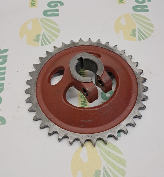 Pinion Z-36
