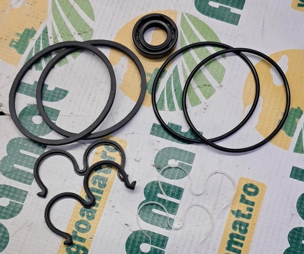 Kit Reparatie Pompa Hidraulica 2.4529.330.1/10