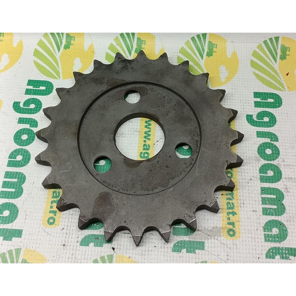Pinion Capello Z-24 03.4901.00
