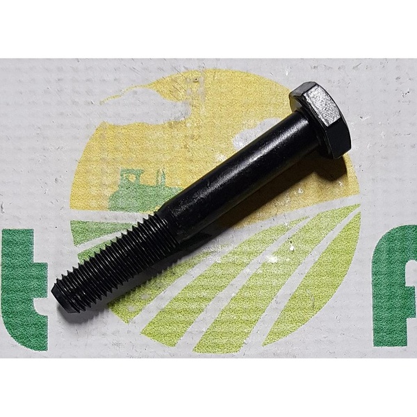 Surub Cap Hexagonal M10x70mm