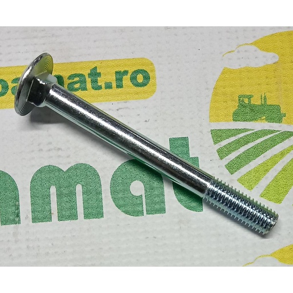 Surub cap bombat gat patrat M10x100mm