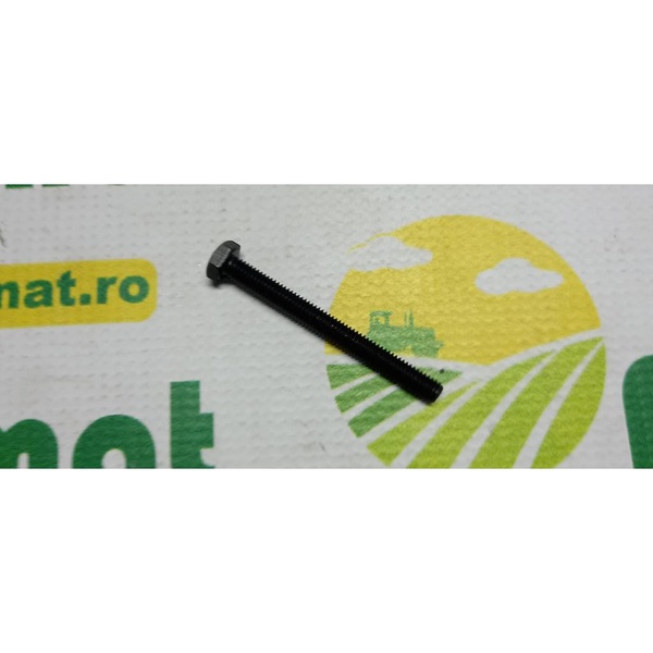 Surub cap hexagonal  M6x60mm