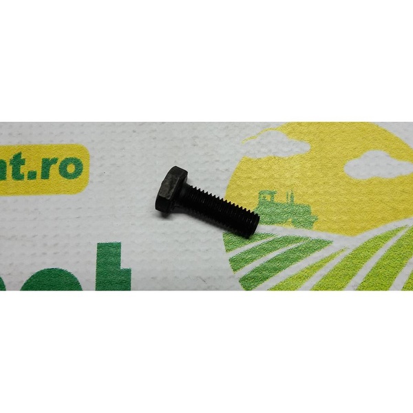 Surub Cap Hexagonal  M8x25mm