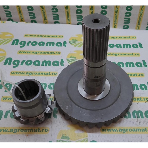 Set Pinioane Dr. 665633 Z-12/24/31