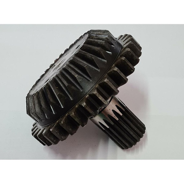 Pinion 502021