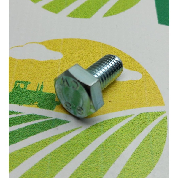 Surub Cap Hexagonal M10x1,5x20mm