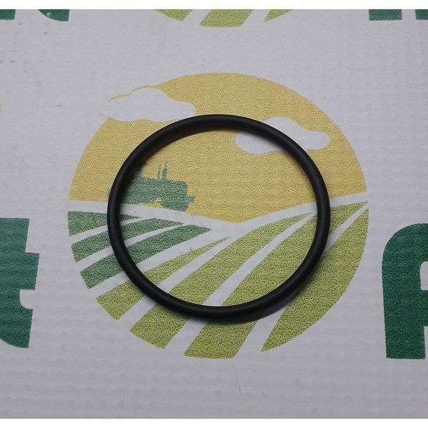 O-Ring Z34697