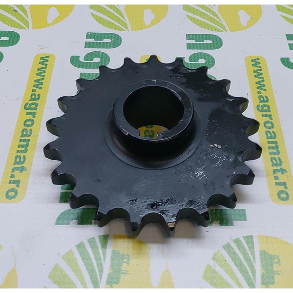 Pinion Z-21 1.317.060