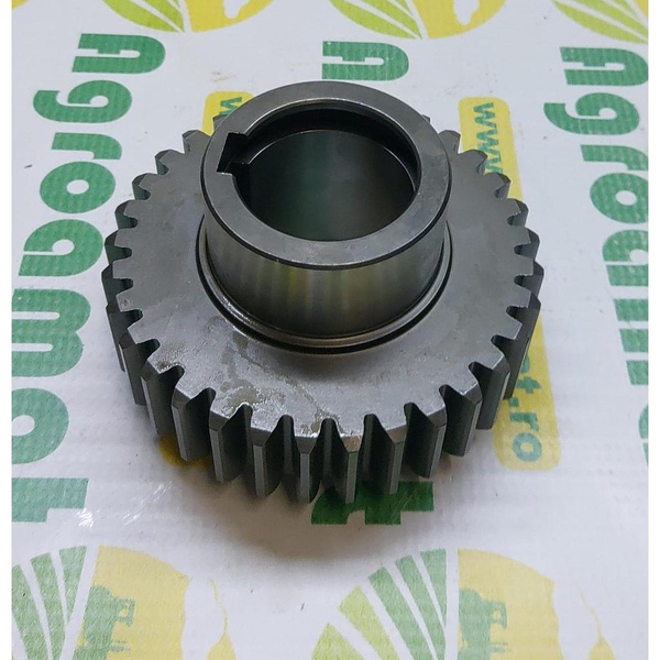 Pinion Z-33 1.320.564