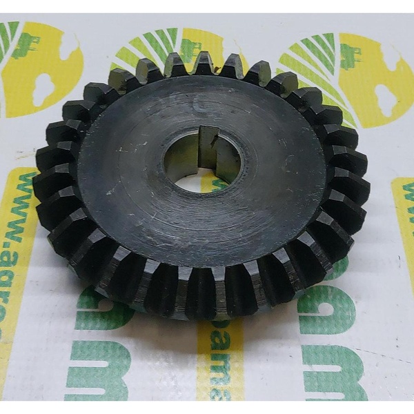 Pinion Z-29- 1.351.024