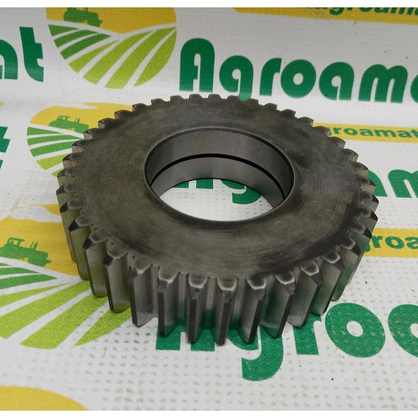 Pinion 1.310.734