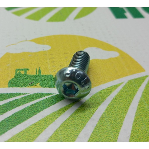 Surub Cap Hexagonal M8x20mm