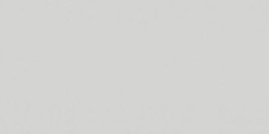 Vopsea gri deschis Steyr 1980- 1l