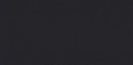 Vopsea gri închis Steyr 1980- 1l