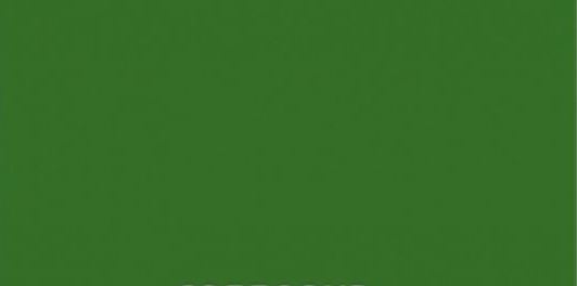 Vopsea verde  Stoll 1989- 1l