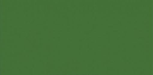 Vopsea verde Hassia 1l