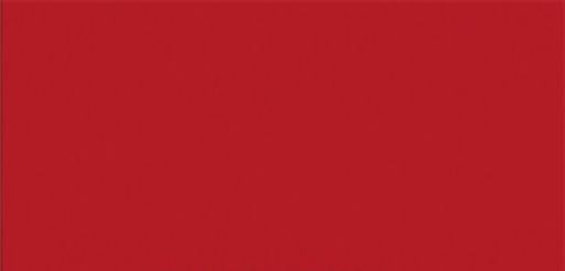 Vopsea rosie Kemper Champion 2009- 1l