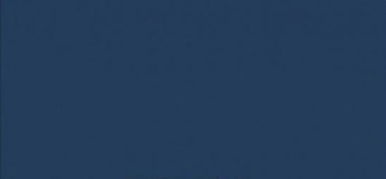 Vopsea albastra  Kubota 1989- 1l