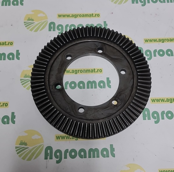 Coroana Grebla Pottinger