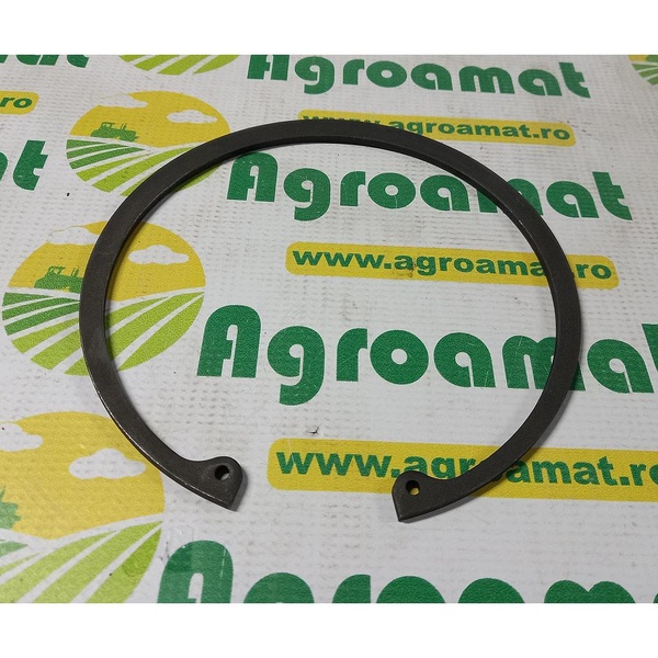 Siguranta 170X4mm