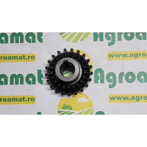 Pinion Cositoare Z-21