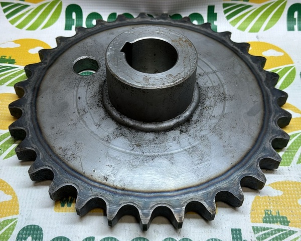 Pinion 84244510 z-31