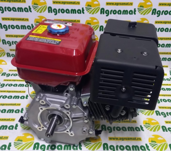 Motor pe Benzina 13CP