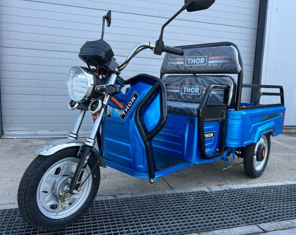 Triciclu Electric 48V20A City Eco Blue