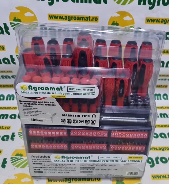 Set 100 Scule Surubelnite si Biti