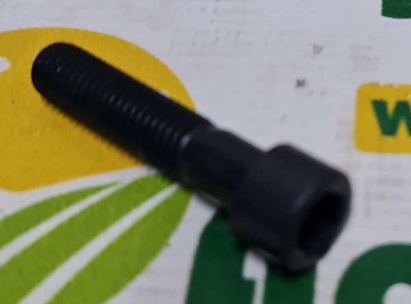 Surub Cap Imbus M12x55