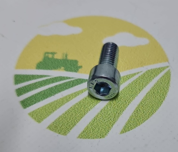 Surub Cap Cilindric M8x20