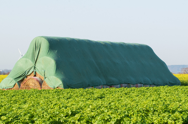 Prelata Baloti 10x25M