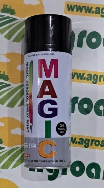 Spray Vopsea Negru Mat 004 450 ml