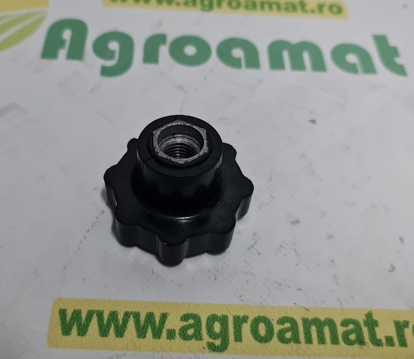 Piulita Capac Chiulasa