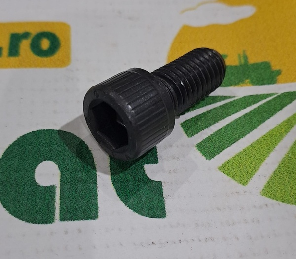 Surub Cap Cilindric Orificiu Hexagonal M12x25mm