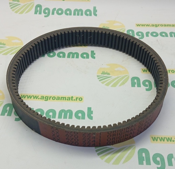 Curea Danturata Org. 670224.1