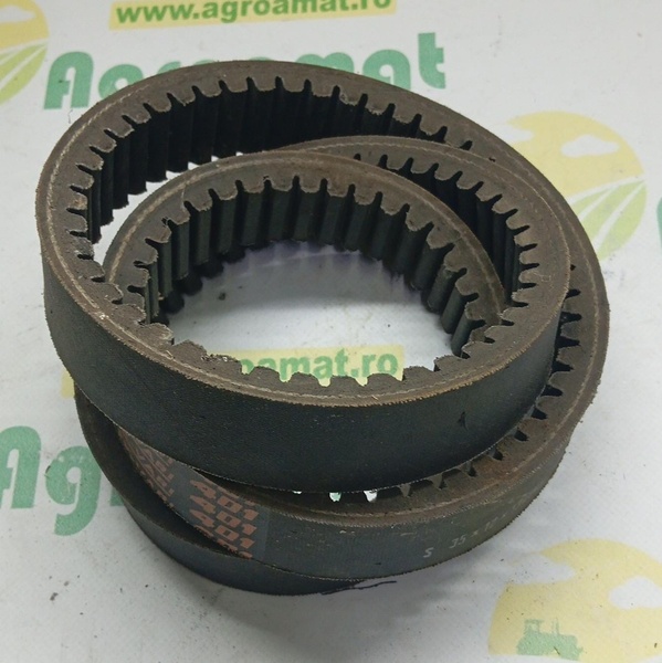 Curea Danturata 340434140