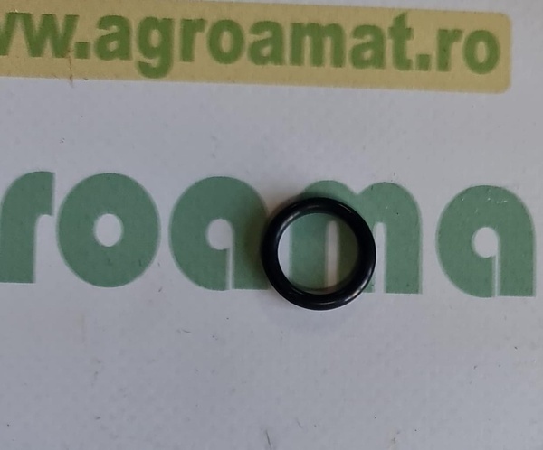 O-ring 0438320