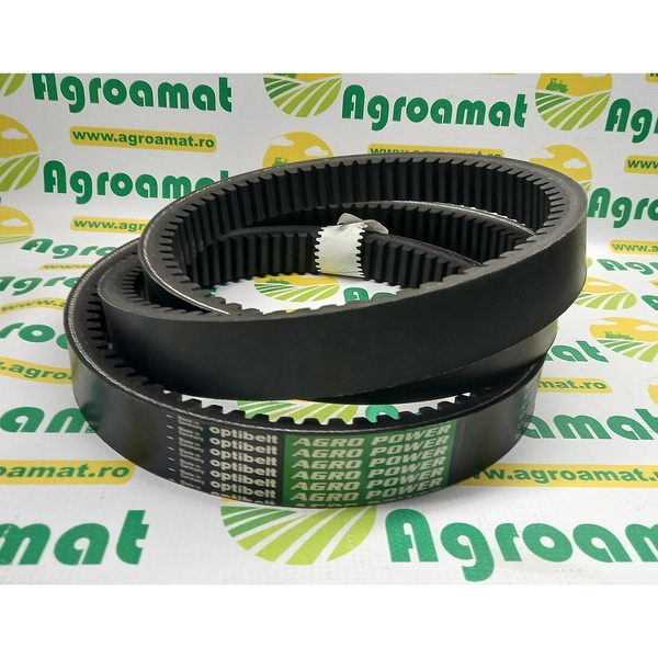 Curea Optibelt Danturata