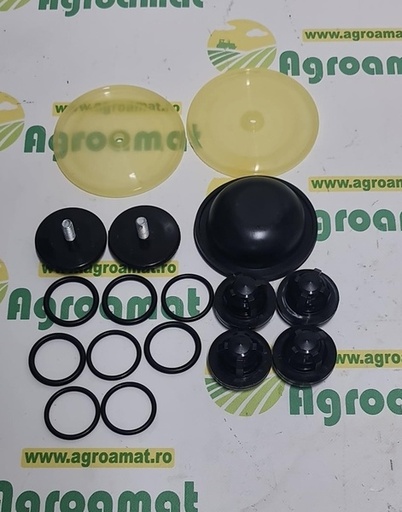 [142620] Kit Reparare Pompa Biardski P-120