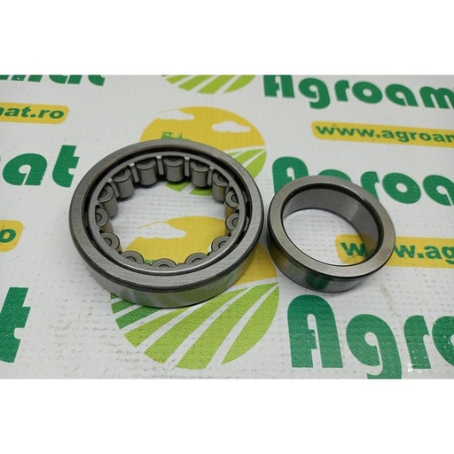 [54200] Rulment 181132A1