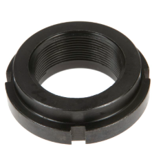 [142862] Piulita Crenelata 524300020100