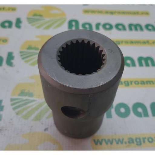 [17851] Bucsa 669548