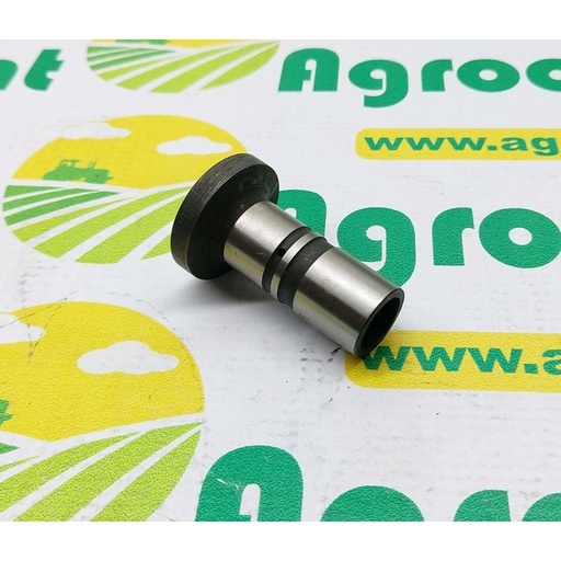 [17291] Tachet Ciuperca