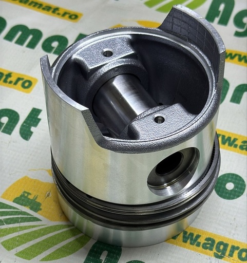 [16567] Set Piston 0.046.0060.6