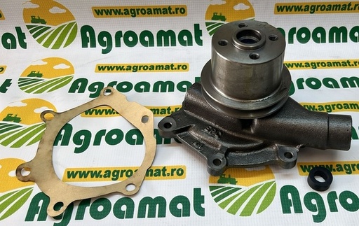 [16315] Pompa Apa K201750